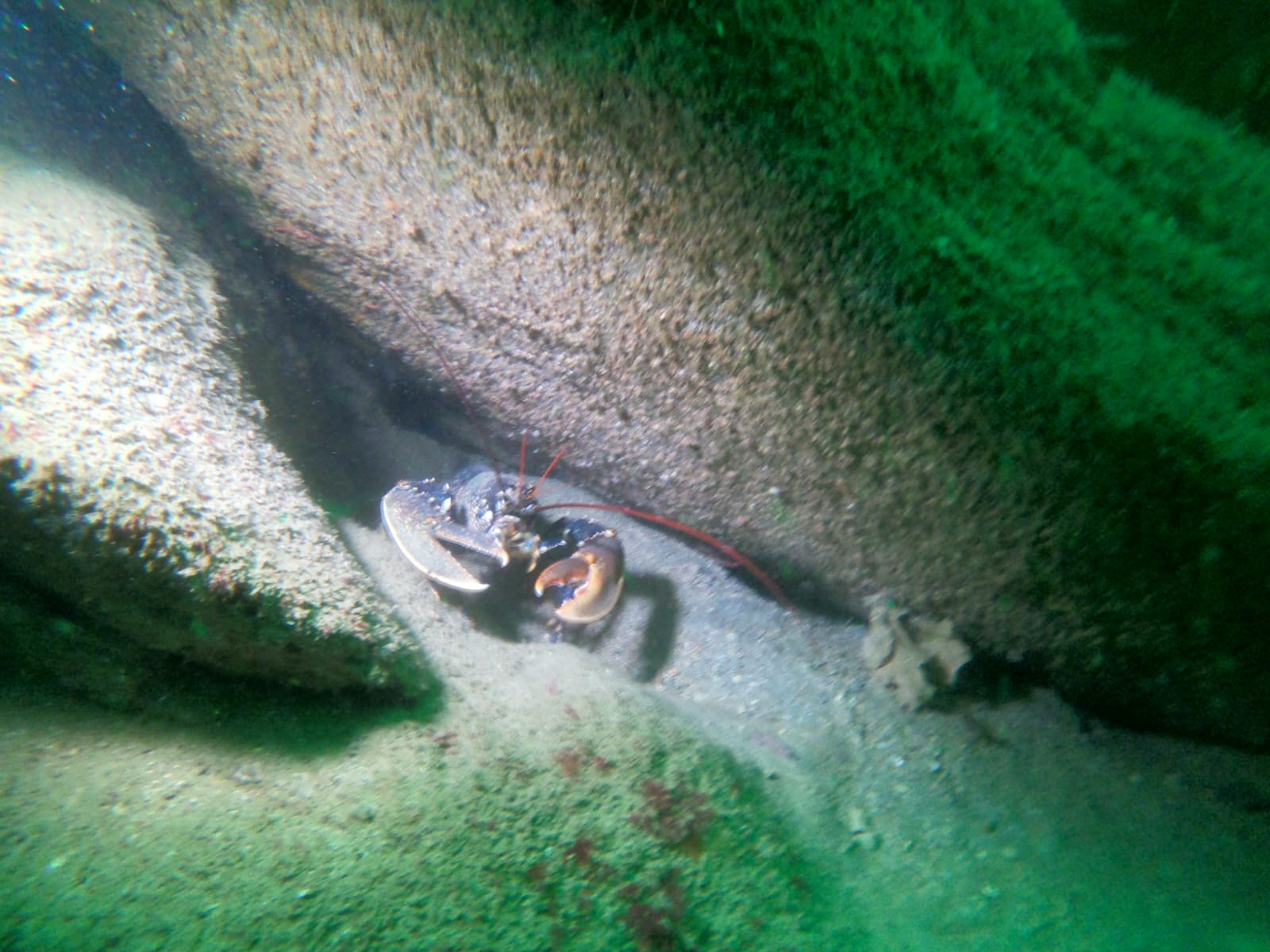 Week-end plongée île de Groix le 02-03 juin 2023 - GAP44 - Club de ...