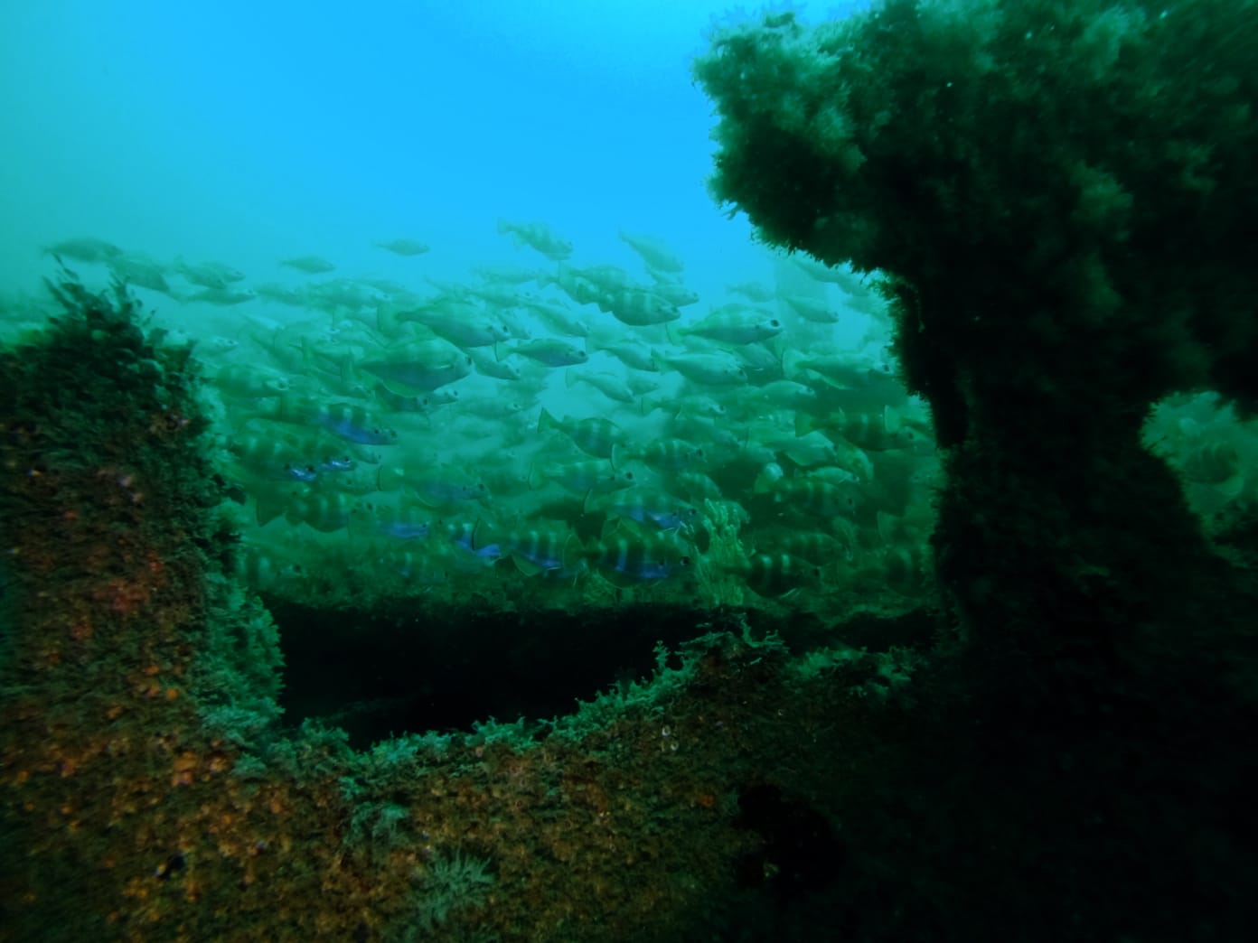 Week-end plongée île de Groix le 02-03 juin 2023 - GAP44 - Club de ...